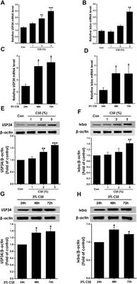 Whole-Exome Sequencing Implicates the USP34 rs777591A > G Intron Variant in Chronic Obstructive Pulmonary Disease in a Kashi Cohort